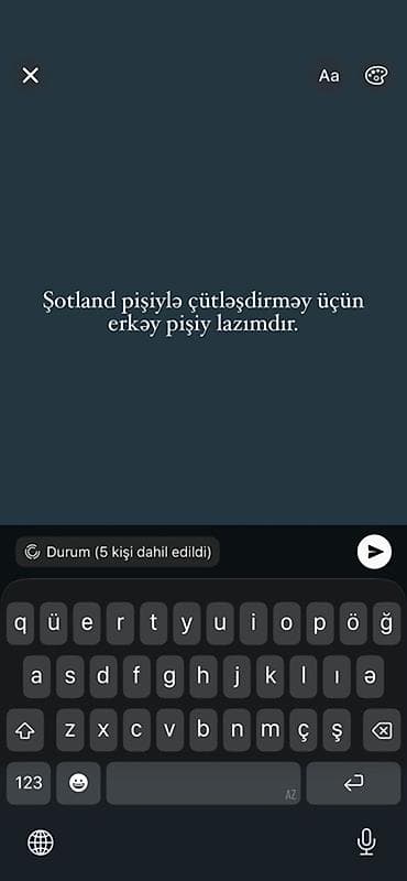 Şotland, Erkək, Cütləşmə üçün lalafo.az -da Şotland, Erkək, Cütləşmə üçün