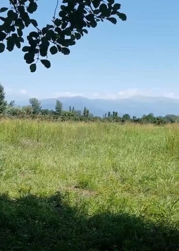 100 sot, Mülkiyyətçi, Kupça (Çıxarış) lalafo.az -da 100 sot, Mülkiyyətçi, Kupça (Çıxarış)