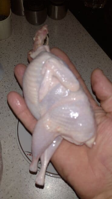 Bismillahla kəsilmiş iri çəkili bildirçin əti.Tam təbii dərmansız lalafo.az -da Bismillahla kəsilmiş iri çəkili bildirçin əti.Tam təbii dərmansız