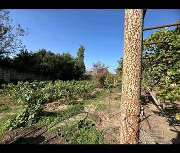 7 sot, Tikinti, Makler, Kupça (Çıxarış) lalafo.az -da 7 sot, Tikinti, Makler, Kupça (Çıxarış)