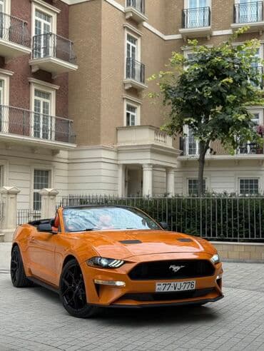 Həftəlik, Ford, Depozitlə, Depozitsiz lalafo.az -da Həftəlik, Ford, Depozitlə, Depozitsiz