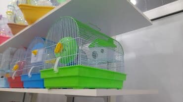 Xamyaklar üçün 14 manatdan 40 manata qədər qəfəslər mövcuddur. Azadlıq lalafo.az -da Xamyaklar üçün 14 manatdan 40 manata qədər qəfəslər mövcuddur. Azadlıq