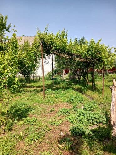 Информатика: 6 комнат, 320 м², Нет кредита, Свежий ремонт at lalafo.az — 7 Информатика: 6 комнат, 320 м², Нет кредита, Свежий ремонт — 7