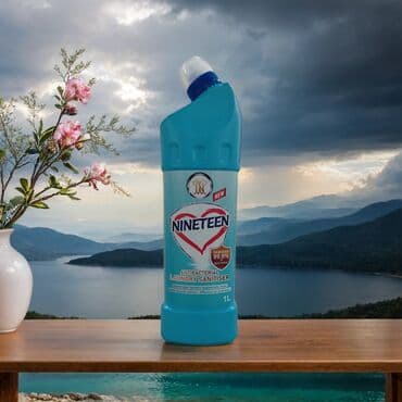 Dezinfeksiyaedici maddələr: NINETEEN antibacterial dezinfeksiya edici məhsullar bakteriya, virus lalafo.az -da — 2 Dezinfeksiyaedici maddələr: NINETEEN antibacterial dezinfeksiya edici məhsullar bakteriya, virus — 2