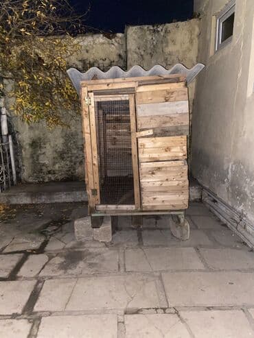 İt yuvası Satılır! Real Alıcıya Endirim Olacaq! lalafo.az -da İt yuvası Satılır! Real Alıcıya Endirim Olacaq!