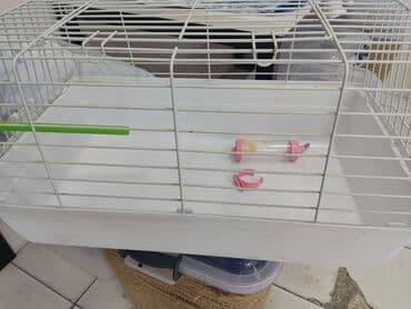 Dovşan ve xamyak ve deniz donuzu üçün istifade edile biler XL ölçü su lalafo.az -da Dovşan ve xamyak ve deniz donuzu üçün istifade edile biler XL ölçü su