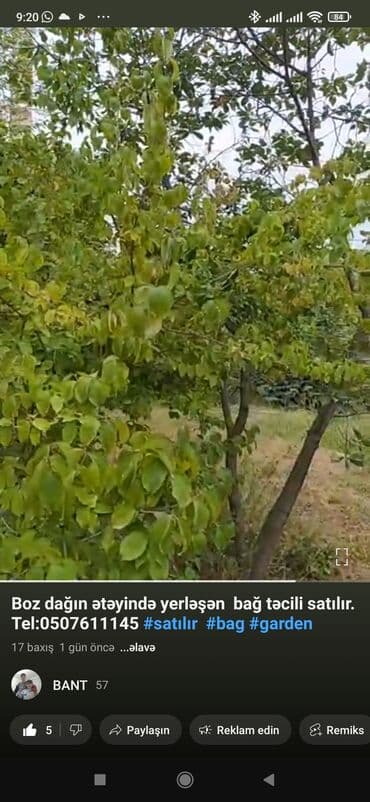 Kənd təsərrüfatı lalafo.az -da — 5 Kənd təsərrüfatı — 5