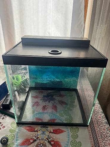 Iwlenmiwdi ekseryeti az iwlenib hammisi bir yerde satilir qiymeti lalafo.az -da Iwlenmiwdi ekseryeti az iwlenib hammisi bir yerde satilir qiymeti