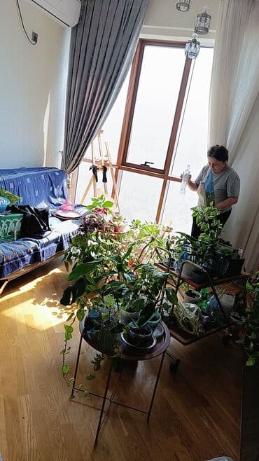 Кухонные краны: Перегородка, Прямоугольная at lalafo.az — 23 Кухонные краны: Перегородка, Прямоугольная — 23