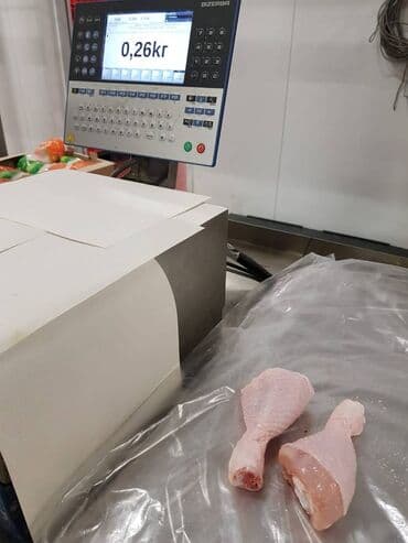 Рыба и морепродукты: Toyug BroylerKend ToyuguToyug Mehsullari Belarusiyadan,Ukraynadan at lalafo.az — 7 Рыба и морепродукты: Toyug BroylerKend ToyuguToyug Mehsullari Belarusiyadan,Ukraynadan — 7