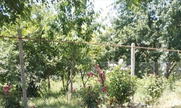 Ağsu, 100 kv. m, 3 otaqlı, İnternet, Qaz, Su lalafo.az -da Ağsu, 100 kv. m, 3 otaqlı, İnternet, Qaz, Su