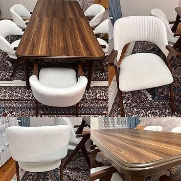 6 stul lalafo.az -da 6 stul