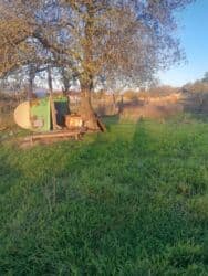 17 sot, Kupça (Çıxarış) lalafo.az -da 17 sot, Kupça (Çıxarış)