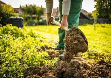 Строительные специальности: Ailə ilə qalmağa bağ evi axtarıram.Hem AXRAN kimi nezaret etmek üçün at lalafo.az — 1 Строительные специальности: Ailə ilə qalmağa bağ evi axtarıram.Hem AXRAN kimi nezaret etmek üçün — 1