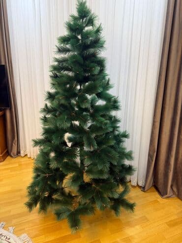 🎄 2.1 m Yeni il ağacı – Süni şam (ikinci əl) Qiymət: 70 AZN Təbii lalafo.az -da 🎄 2.1 m Yeni il ağacı – Süni şam (ikinci əl) Qiymət: 70 AZN Təbii