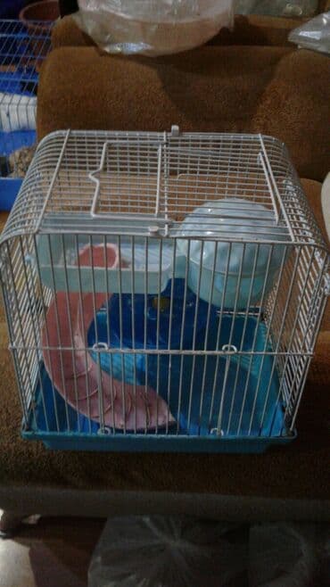 Shekilleri cevirin Xamyak ucun qefes satilir qiymeti 25 azn böyük lalafo.az -da Shekilleri cevirin Xamyak ucun qefes satilir qiymeti 25 azn böyük