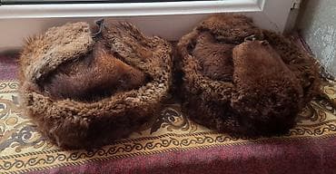 Tebii xezden hazirlanmis ushanka papaglar. Uzun muddet qiragda lalafo.az -da Tebii xezden hazirlanmis ushanka papaglar. Uzun muddet qiragda