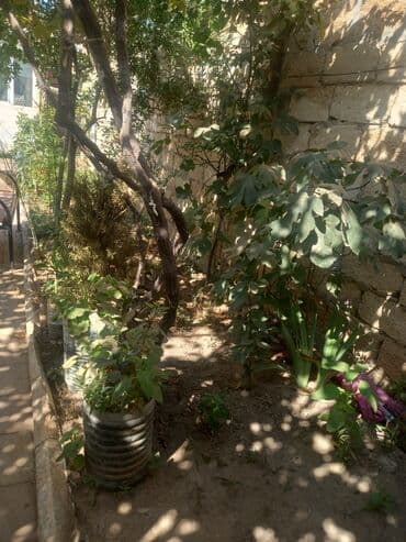 ugur emlak agentliyi: 5 otaqlı, 120 kv. m, Kredit var, Yeni təmirli lalafo.az -da ugur emlak agentliyi: 5 otaqlı, 120 kv. m, Kredit var, Yeni təmirli