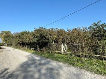 43 sot, Biznes üçün, Mülkiyyətçi, Kupça (Çıxarış) lalafo.az -da 43 sot, Biznes üçün, Mülkiyyətçi, Kupça (Çıxarış)