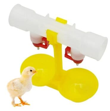 Yem qabı, Su üçün, Quşlar üçün, Ünvandan götürmə, Ödənişli çatdırılma, Rayonlara çatdırılma lalafo.az -da Yem qabı, Su üçün, Quşlar üçün, Ünvandan götürmə, Ödənişli çatdırılma, Rayonlara çatdırılma