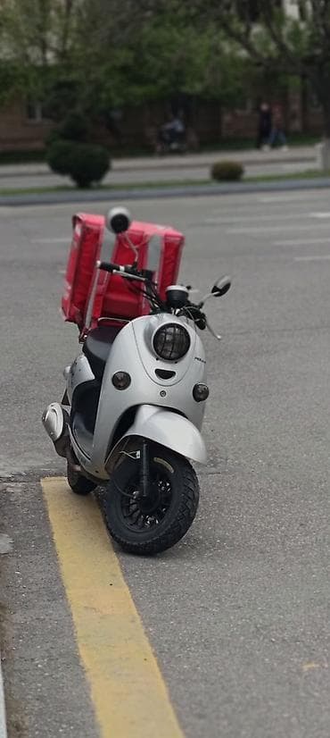 - POLLO, 80 sm3, 2022 il, 80000 km lalafo.az -da - POLLO, 80 sm3, 2022 il, 80000 km