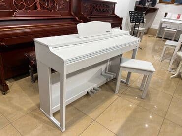 Fleytalar: Piano, Mayga, Rəqəmsal, Yeni, Pulsuz çatdırılma lalafo.az -da — 13 Fleytalar: Piano, Mayga, Rəqəmsal, Yeni, Pulsuz çatdırılma — 13