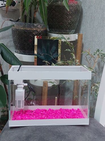 Akvaryum seti 9 litir ağ və qara fonda üzərində rəngli dib daşı 1 ədəd lalafo.az -da Akvaryum seti 9 litir ağ və qara fonda üzərində rəngli dib daşı 1 ədəd