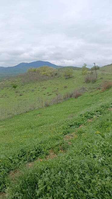 2000 sot, Biznes üçün, Mülkiyyətçi, Kupça (Çıxarış), Bələdiyyə, Texniki pasport lalafo.az -da 2000 sot, Biznes üçün, Mülkiyyətçi, Kupça (Çıxarış), Bələdiyyə, Texniki pasport