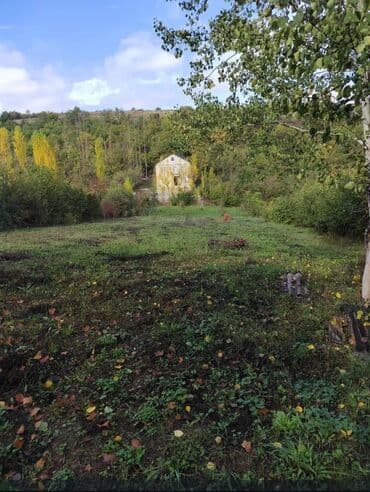 40 sot, Biznes üçün, Mülkiyyətçi, Kupça (Çıxarış) lalafo.az -da 40 sot, Biznes üçün, Mülkiyyətçi, Kupça (Çıxarış)
