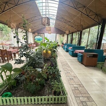 Ofisiant tələb olunur, Kafe, Həftəlik ödəniş, 18-29 yaş, 1-2 illik təcrübə lalafo.az -da Ofisiant tələb olunur, Kafe, Həftəlik ödəniş, 18-29 yaş, 1-2 illik təcrübə