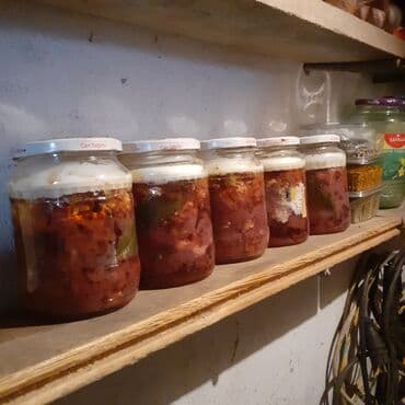 Qayçılar: Avtoklav konservi ucun baseti toyuq, baliq .murebbe vesair lalafo.az -da — 6 Qayçılar: Avtoklav konservi ucun baseti toyuq, baliq .murebbe vesair — 6