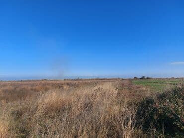 2600 sot, Kənd təsərrüfatı, Barter mümkündür, Kupça (Çıxarış) lalafo.az -da 2600 sot, Kənd təsərrüfatı, Barter mümkündür, Kupça (Çıxarış)