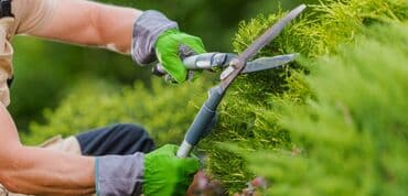 Строительные специальности: Ailə ilə qalmağa bağ evi axtarıram.Hem AXRAN kimi nezaret etmek üçün at lalafo.az — 2 Строительные специальности: Ailə ilə qalmağa bağ evi axtarıram.Hem AXRAN kimi nezaret etmek üçün — 2