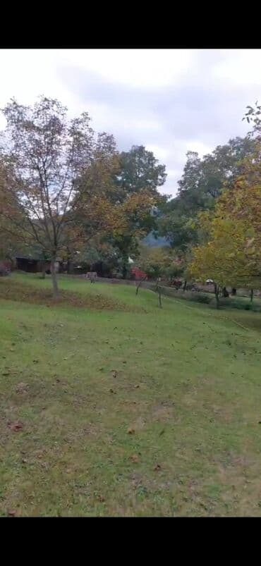 10 sot, Biznes üçün, Mülkiyyətçi, Kupça (Çıxarış) lalafo.az -da 10 sot, Biznes üçün, Mülkiyyətçi, Kupça (Çıxarış)