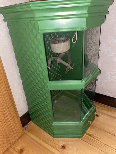 Yaşıl künc vitrin-terrarium/bird-kafes korpusu - Material: ağac lalafo.az -da Yaşıl künc vitrin-terrarium/bird-kafes korpusu - Material: ağac
