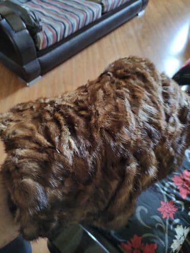 Xəz norka lalafo.az -da Xəz norka