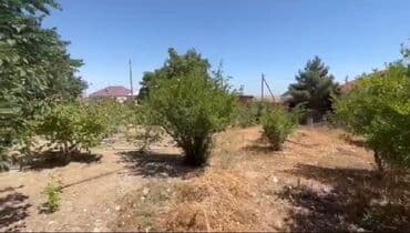 Tikinti, Mülkiyyətçi, Kupça (Çıxarış) lalafo.az -da Tikinti, Mülkiyyətçi, Kupça (Çıxarış)