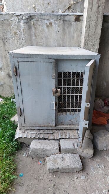 Göyerçin saxlamağ üçün Ela vezietdedir lalafo.az -da Göyerçin saxlamağ üçün Ela vezietdedir