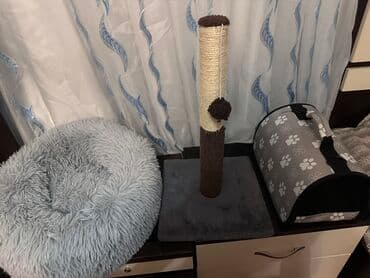 Ev heyvanı üçün Aksesuar dəsti 40 man
Hər biri yenidir lalafo.az -da Ev heyvanı üçün Aksesuar dəsti 40 man
Hər biri yenidir