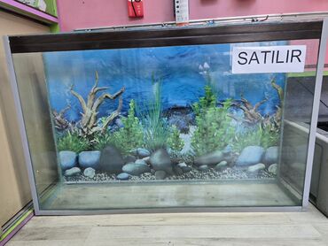 Elaqe whatsapp lalafo.az -da Elaqe whatsapp