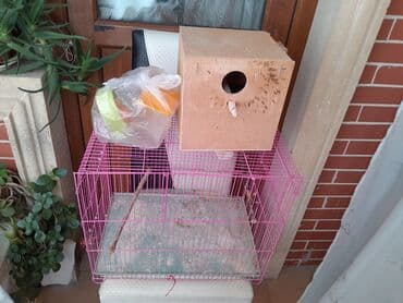 Qəfəs satılır yekədir uzərində yuva əlavə qablar verilir lalafo.az -da Qəfəs satılır yekədir uzərində yuva əlavə qablar verilir