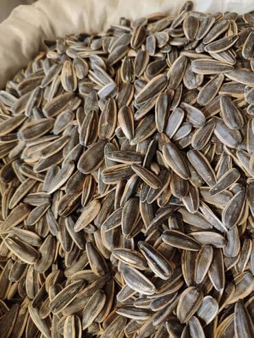 Ləpələr: Qovrulmuş və çiy,ağ və qara semiçkalar çəki ilə satılır. Sifariş lalafo.az -da — 7 Ləpələr: Qovrulmuş və çiy,ağ və qara semiçkalar çəki ilə satılır. Sifariş — 7