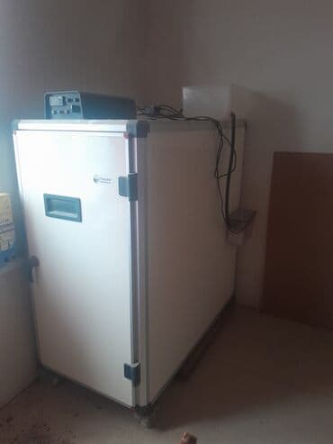 Bütün növ quşlaq üçün lalafo.az -da Bütün növ quşlaq üçün