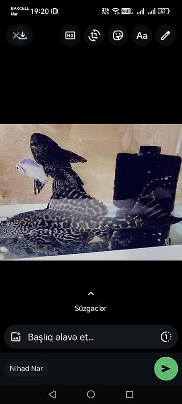 Salam 20 sm parcovu biri 25 azn ikisine 45 azn lalafo.az -da Salam 20 sm parcovu biri 25 azn ikisine 45 azn