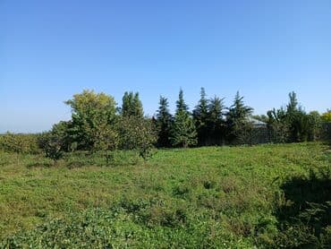 20 sot, Tikinti, Mülkiyyətçi, Kupça (Çıxarış) lalafo.az -da 20 sot, Tikinti, Mülkiyyətçi, Kupça (Çıxarış)