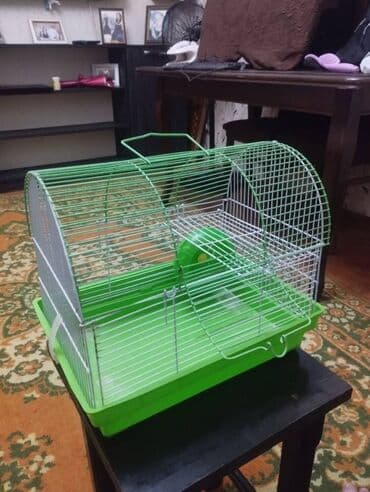 Salam. Qefes satilir. Teze kimidi. Saglamdi,sinigi,qirigi,pasi yoxdu lalafo.az -da Salam. Qefes satilir. Teze kimidi. Saglamdi,sinigi,qirigi,pasi yoxdu