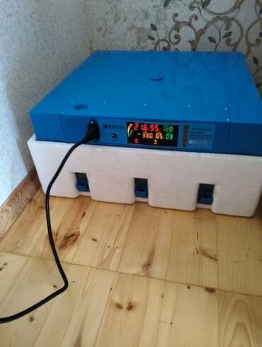 Salam gördüyünüz inkibator 60 dənə yumurta tutumuna saibdi istəyən lalafo.az -da Salam gördüyünüz inkibator 60 dənə yumurta tutumuna saibdi istəyən