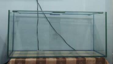 Dördbucaq akvarium, Boş, 1 l, Ünvandan götürmə lalafo.az -da Dördbucaq akvarium, Boş, 1 l, Ünvandan götürmə