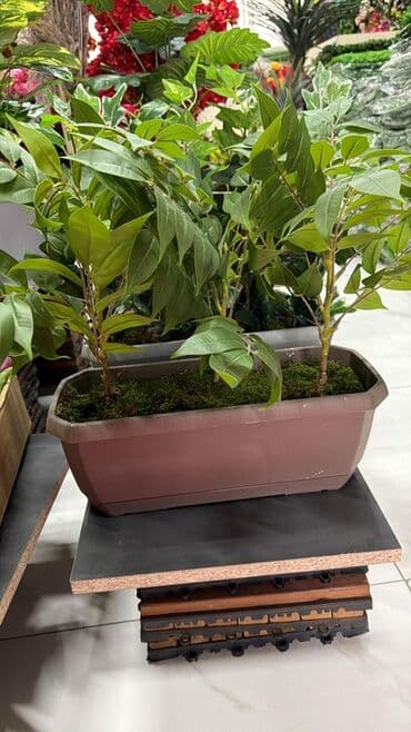 Dəbli dekorativ süni bitkilər kompozisiyası - Düzbucaqlı uzun lalafo.az -da Dəbli dekorativ süni bitkilər kompozisiyası - Düzbucaqlı uzun