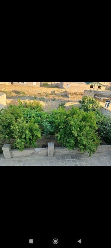 Гаражи: 6 комнат, 200 м², Нет кредита, Средний ремонт at lalafo.az — 10 Гаражи: 6 комнат, 200 м², Нет кредита, Средний ремонт — 10